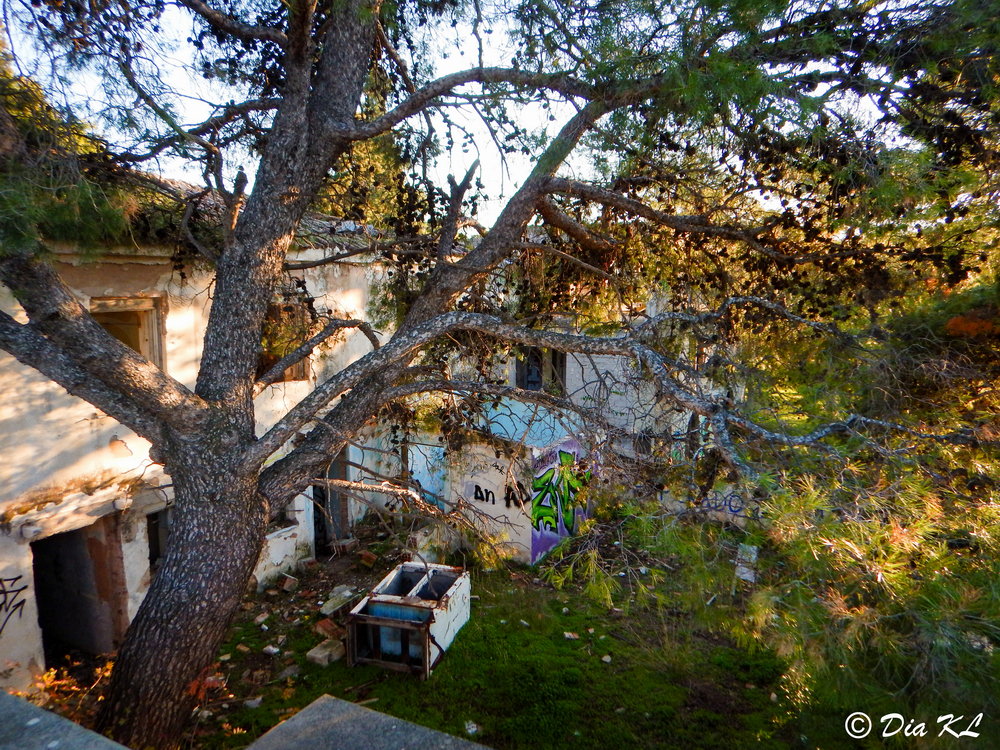 Main structure. Villa Levidi urbex (urban exploration. Athens Greece.