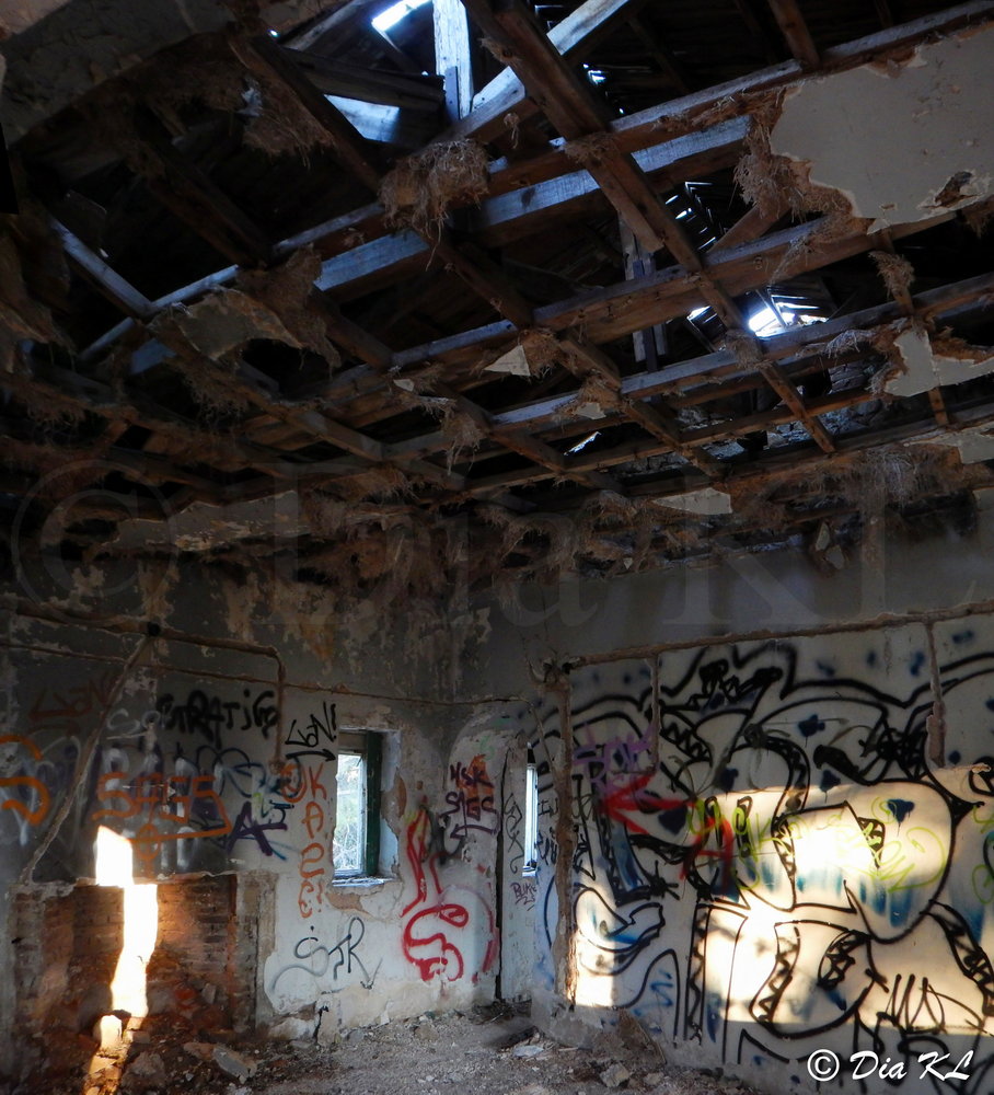 Main structure. Villa Levidi urbex (urban exploration. Athens Greece.